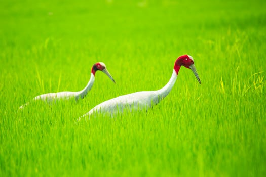 Casina s Denními Bonusy: Jak Vybrat Nejlepší pro Vás?